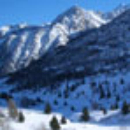 Apgujeong Bonggu Beer